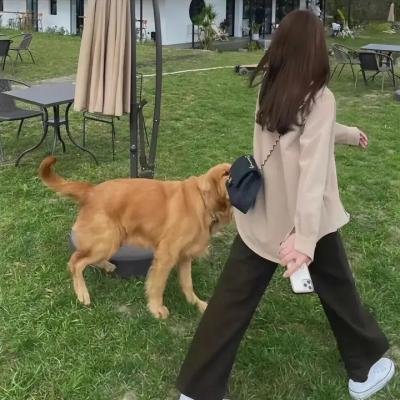 开篇
